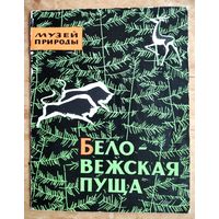 В.С.Романов,Г.Б.Надеждин. (Авт.-сост.). Беловежская пуща: Музей природы.