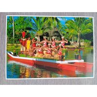 Этнография. Полинезия. На празднике