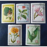 СССР 1973 лекарственные растения .
