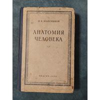Н.В.Колесников. Анатомия человека. Третье издание, 1954 год