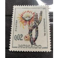 Монако 1960 флора кактусы