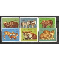 ФФ2 Румыния 1972 Фауна