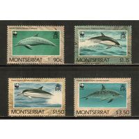 Монтсеррат-1990(Мих.786-789) , **    , Морская Фауна ,Дельфины(полная серия)