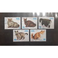 Куба. 1994 год. Фауна. Кошки (744)