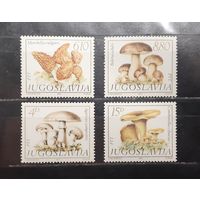 Югославия. 1983 год. Флора. Грибы (976)
