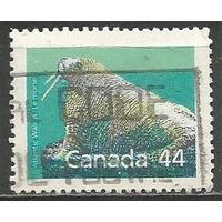 Канада. Морж. 1989г. Mi#1118.