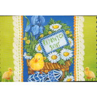 Подписанная открытка Польша "Пасха. Цыпленок и корзина с ромашками"