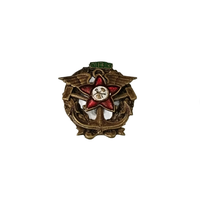 Знак ранних советов Технические летно-воздухоплавательные курсы ВВС РККА 1918-1922 г.г реплика