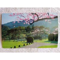 Япония. Парк Маруяма