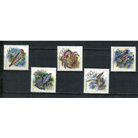 Россия - 1993 - Морская фауна - [Mi. 323-327] - полная серия - 5 марок. MNH.  (Лот 48JC)-TG3P54