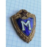 Знак Мастер на заколке