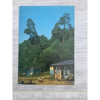 Открытка Польша