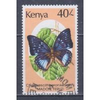 [2484] Кения 1988. Фауна.Бабочка.40шил. Концовка серии.Гашеная марка. Кат.гаш.8 е.