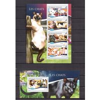 Того 2015 Фауна домашние кошки - 1 лист + 1 блок MNH**