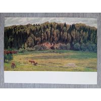 1956. Горский. Лес у Красного луга. Подмосковье
