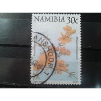 Намибия, 1997. Цветы