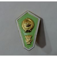 Знак за окончания сельхоз. техникума СССР. Алюминий.