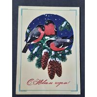 Чистая. С Новым Годом! Крутенко 1979 г.