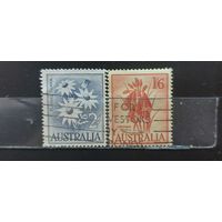 РАСПРОДАЖА. АВСТРАЛИЯ 1959г. Гаш.