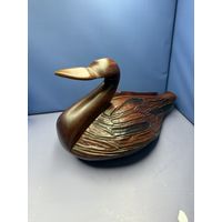 Утка красное дерево