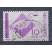 [2076] Уругвай 1968. Фауна.Птицы.Цапля. Гашеная марка.