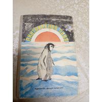 Пингвиненок пиня\0