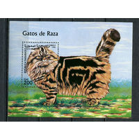 Сахара - 1999 - Коты - (незначит. помятость) - 1 блок. MNH.  (Лот 59JH)-TG2P21