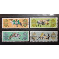 Монголия. Фауна. Лошади (112)