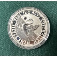 Лебеди 2024 австралия