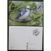 Беларусь 2022 КМ птица года, белая синица .