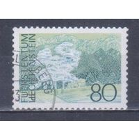 [1206] Лихтенштейн 1972. Ландшафт. Гашеная марка. 3