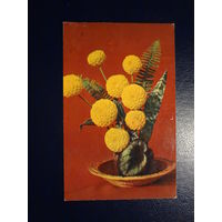 Желтые георгины.1973 г.  подписанная.