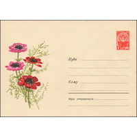 Художественный маркированный конверт СССР  N 3906 (25.08.1965) Рисунок цветов анемоны