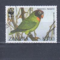 [283] Замбия 1996. Фауна.Птицы.Попугай. Гашеная марка.