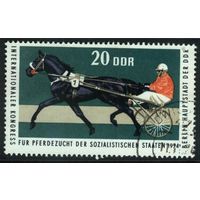 ГЕРМАНИЯ, ГДР - 1974 [Mi. 1970] Гашеная (DDR08)