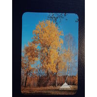 Календарик 2003 г.  Белгосстрах.  Осень.