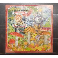 Буркина-Фасо. 2021 год. Флора. Грибы. Блок (1017)