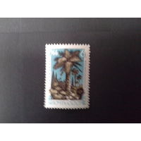 Ссср 1966. Пальма.