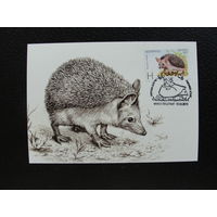 Продажа коллекции с 1 рубля! КПД РБ