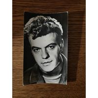 Артисты шалевич