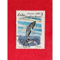 Куба. Фауна. ( 1 марка ) 1980 года. 4-4.