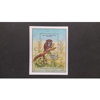 Лот 19 разные марки