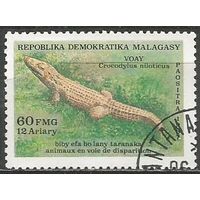 Республика Мадагаскар. Нильский крокодил. 1987г. Mi#1047.