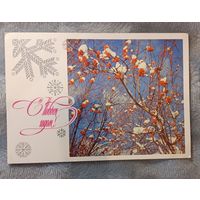 Новогодняя открытка 1976 г. Чистая.