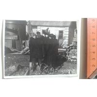 Фото в коллекцию