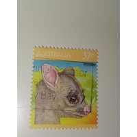 Австралия год 1987.  с изображением лисий кузу (поссум).