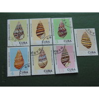 Куба 1973 г. Ракушки.