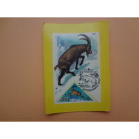 Календарик 1991 г.  Союз филателистов СССР.  Тур.