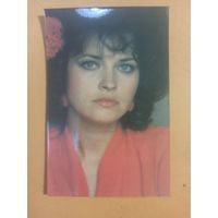 Календарь Людмила Шевель 1991