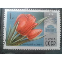СССР, 1978. Тюльпан, Большой театр